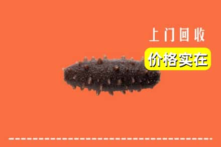 深圳市坪山回收海参