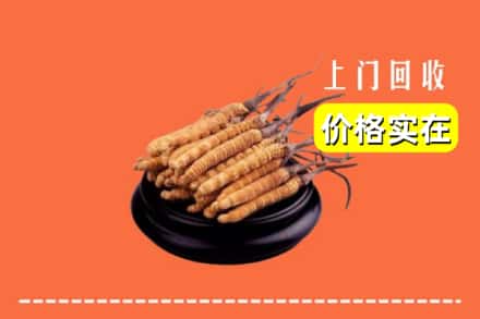 深圳市坪山回收冬虫夏草