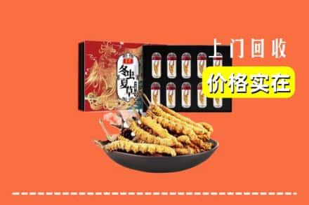 深圳市坪山回收虫草