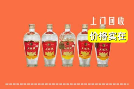 深圳市坪山回收老五粮液